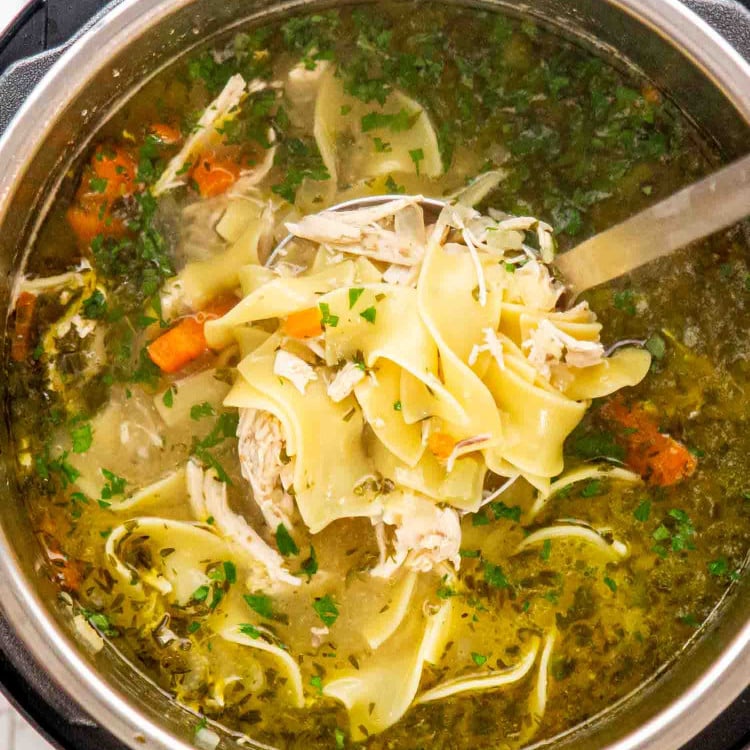 instant pot chicken noodle soup
