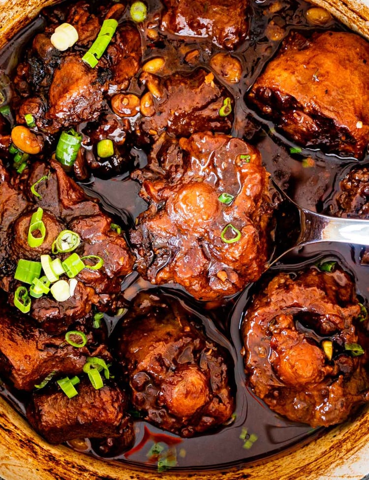 overhead shot of oxtail stew in a dutch oven garnished with green onions