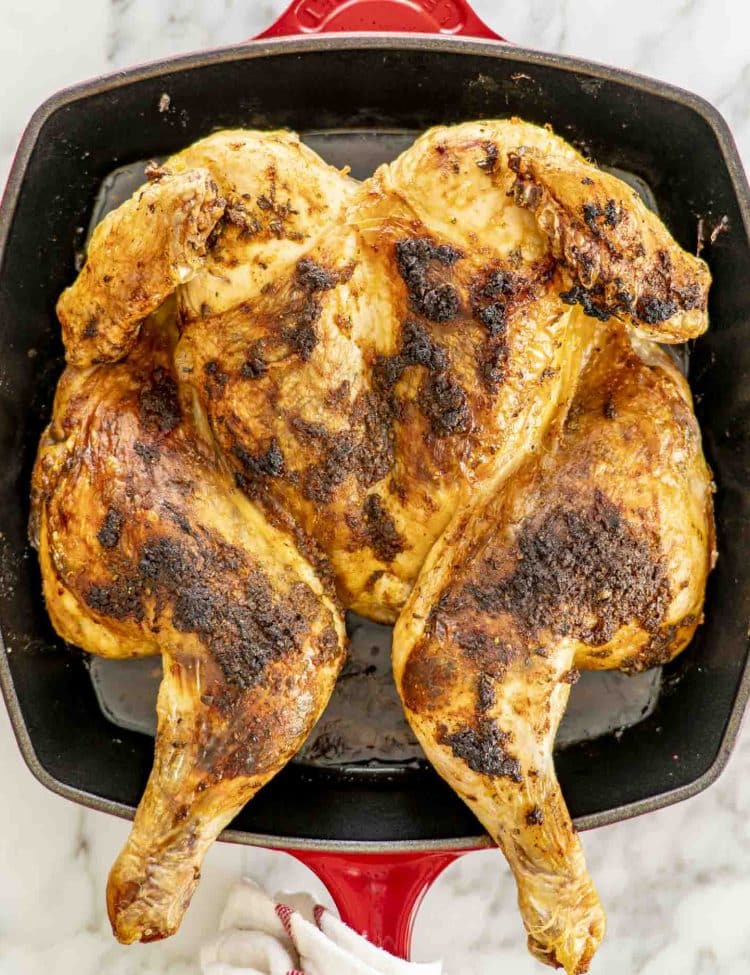 Whole roasted spatchcock chicken in a red cast iron skillet with crispy golden brown skin and herb seasoning.